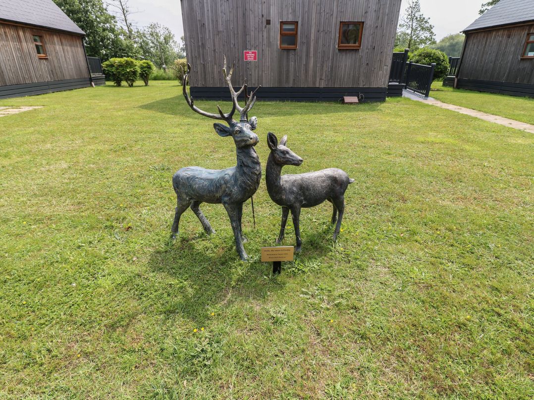 James Ville Marina Lodge 10