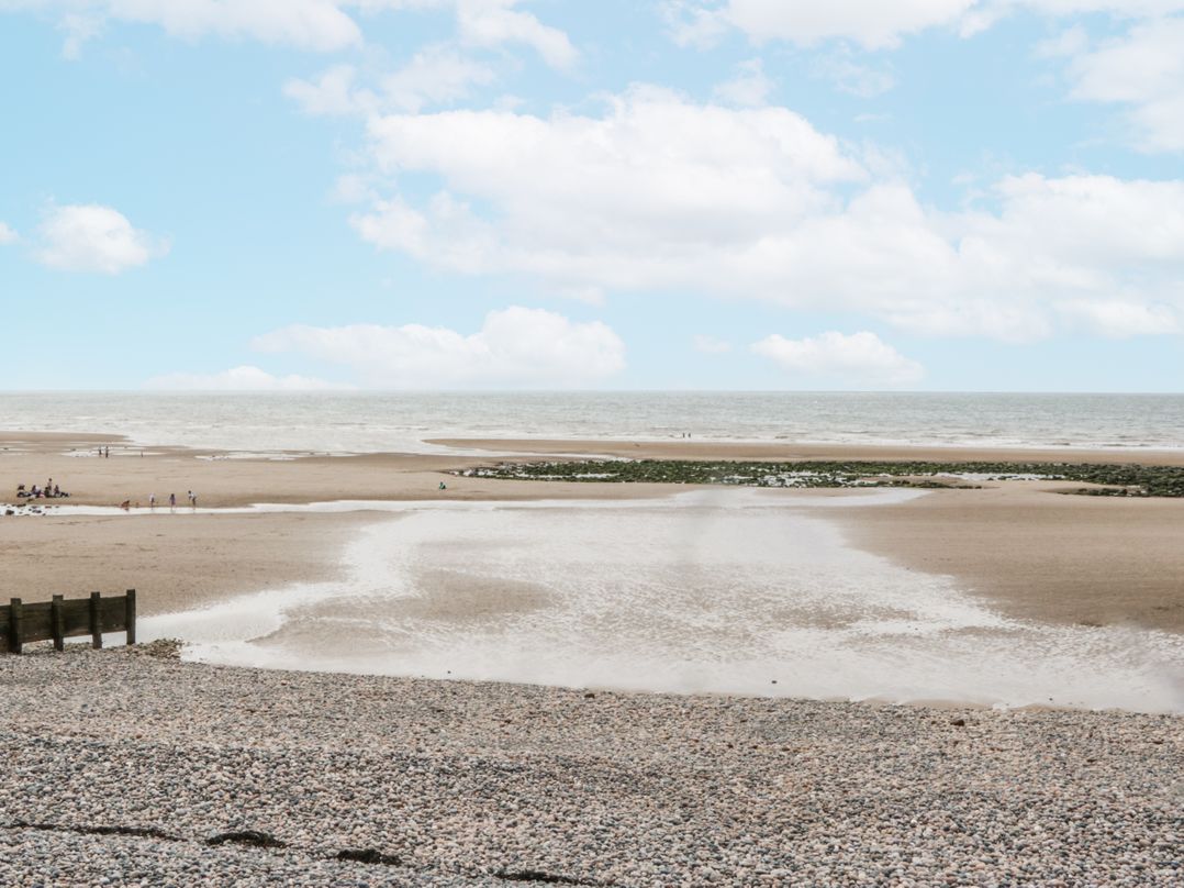 Sandpiper