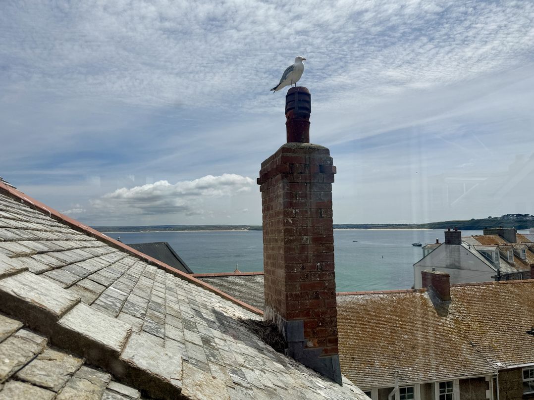 Seagulls Nest