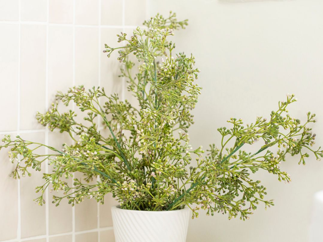 Apartment 2, 86 Dyer Street