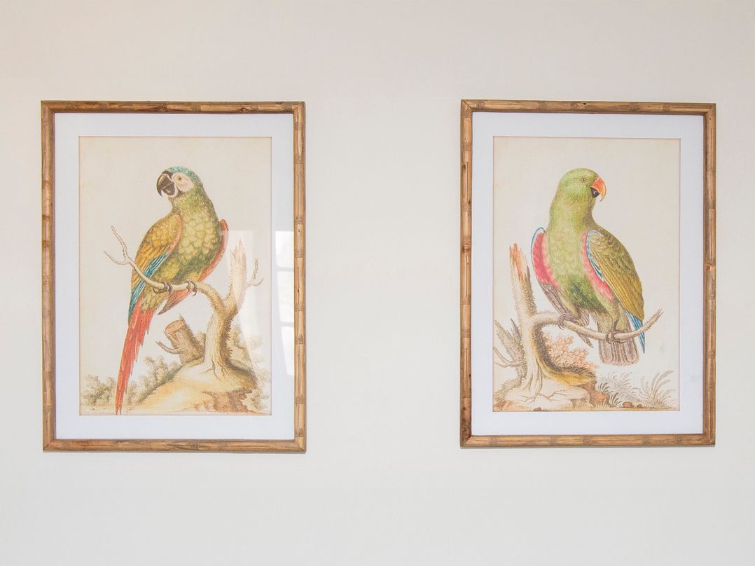 Apartment 2, 86 Dyer Street