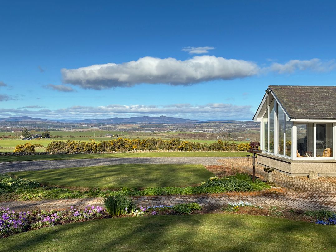 Carnmhor