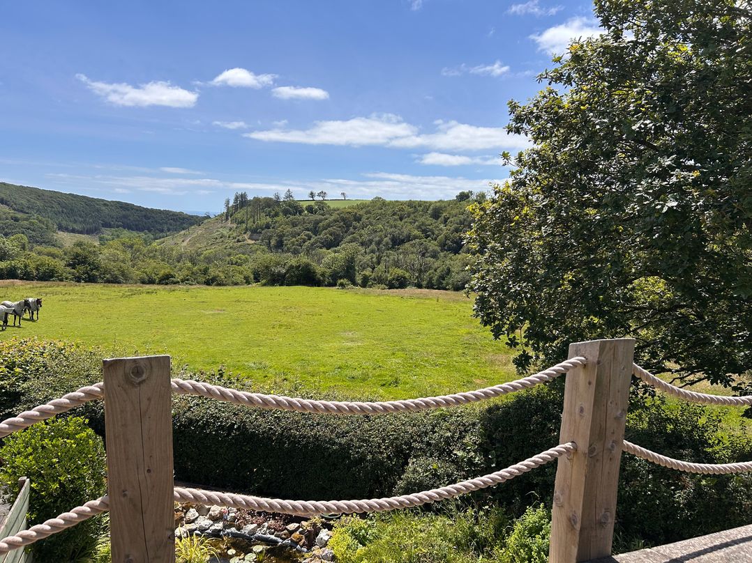 A scenic view of a grassy field with horses at 51 Llanteg Park in Amroth
