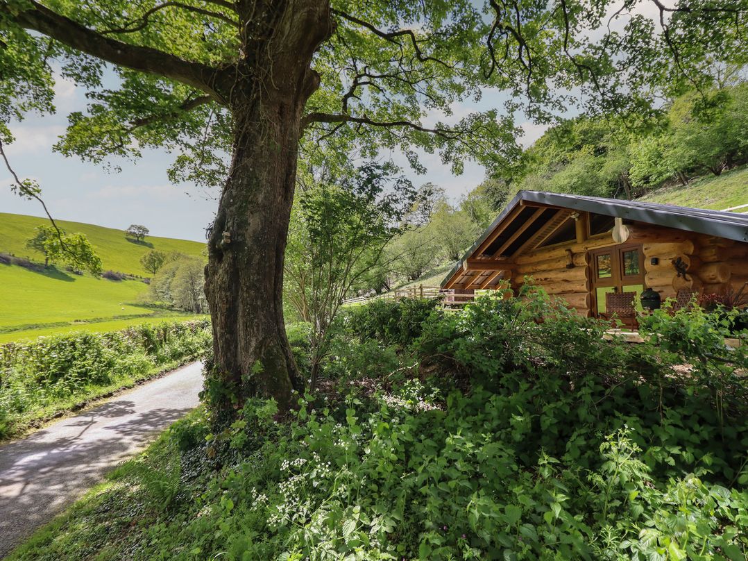 Owl Valley Cabin