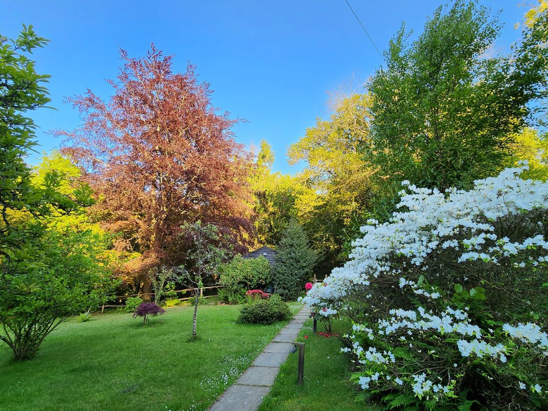 Cherry Cottage