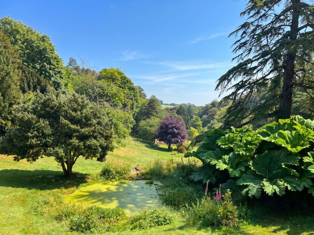 Sheplegh Court Garden Apartment