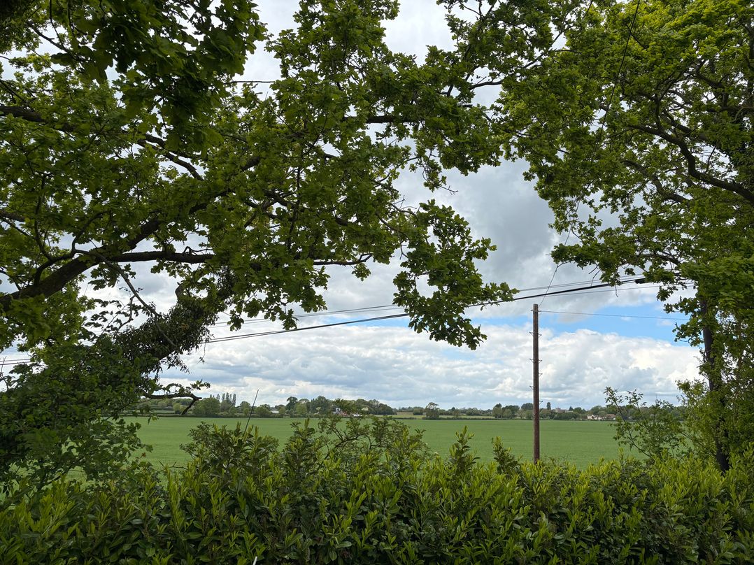 Ash Tree Lodge