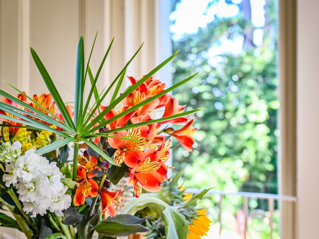 Muntham Deluxe Apartment 2