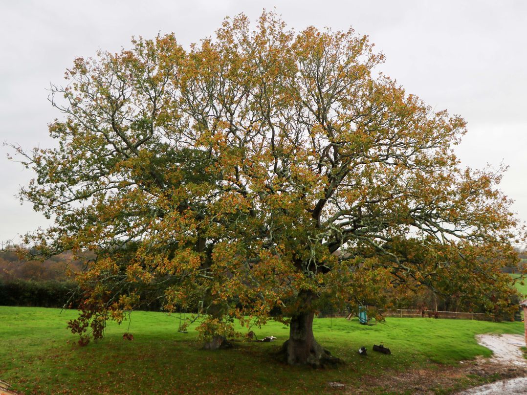 Red House Common View