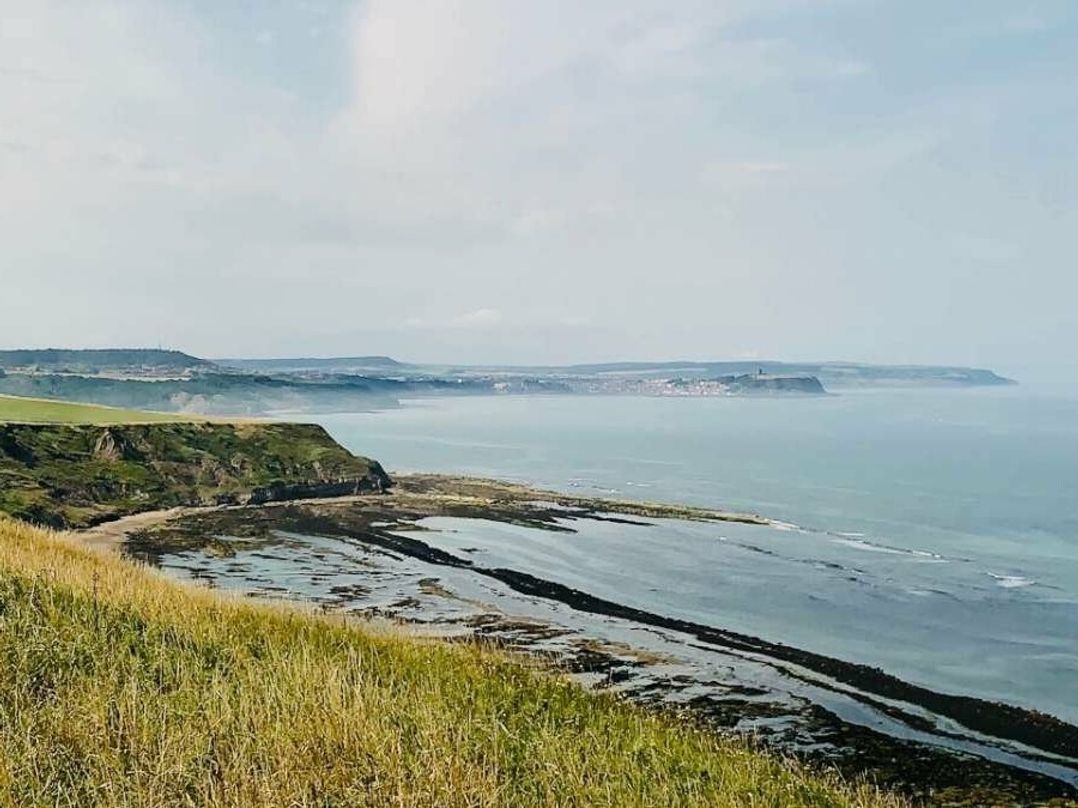 Blue Dolphin Holiday Park - Holiday Accommodation 10154