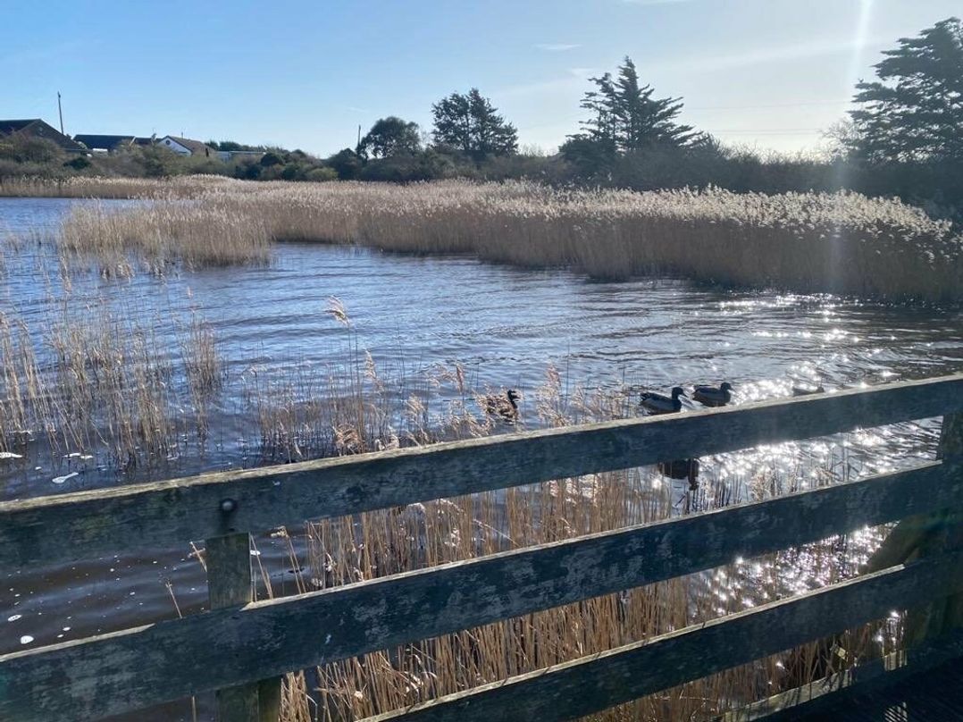 Church Farm Holiday Village - Holiday Accommodation 10617