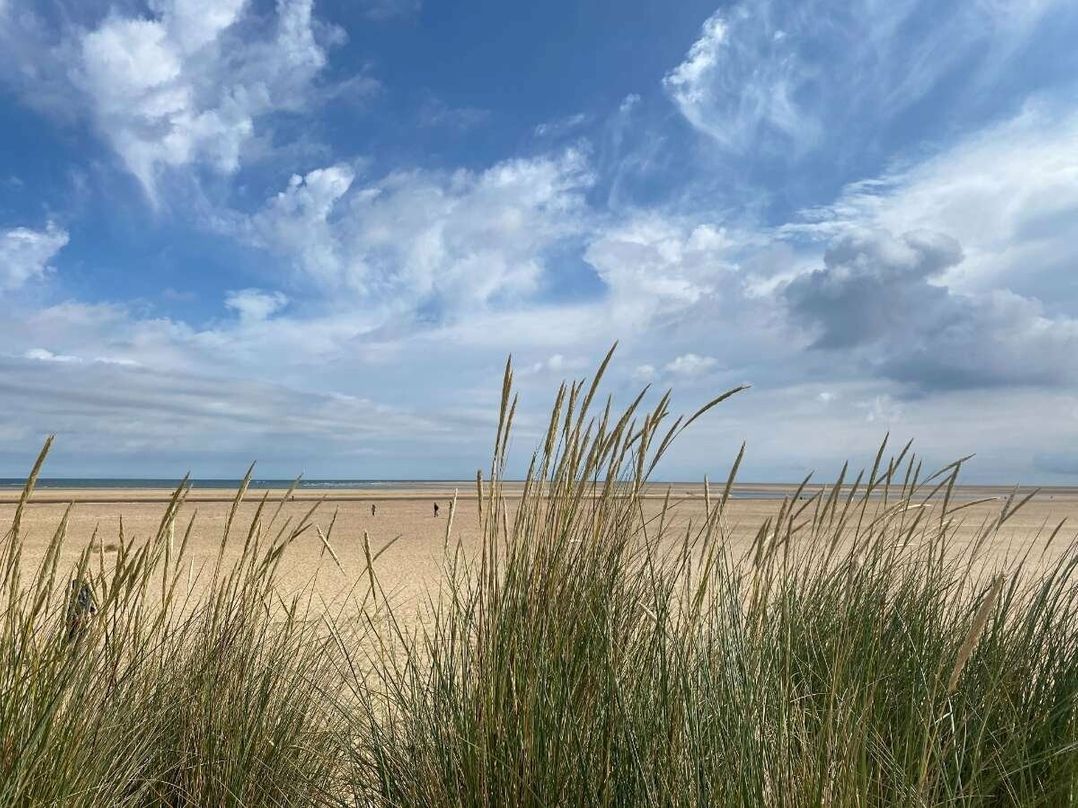 Pinewoods Holiday Park - Holiday Accommodation 10664