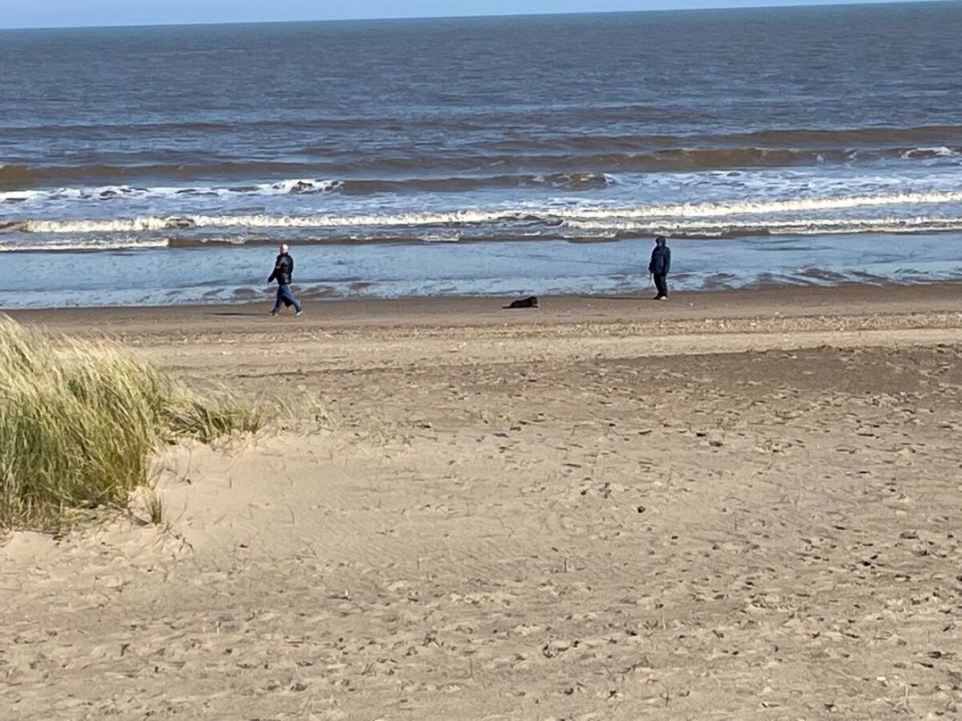 Towervans Holiday Park - Holiday Accommodation 10979