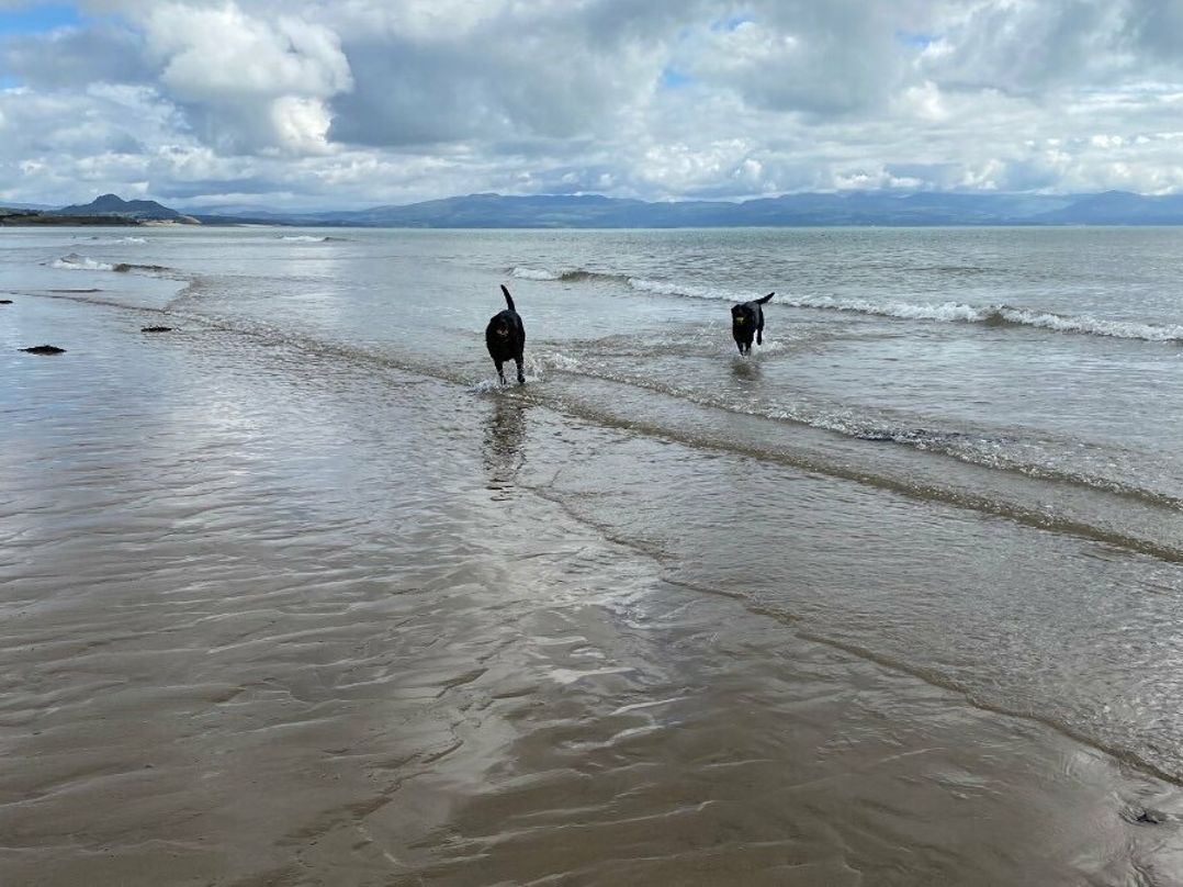 Hafan y Mor Haven - Holiday Accommodation 11396