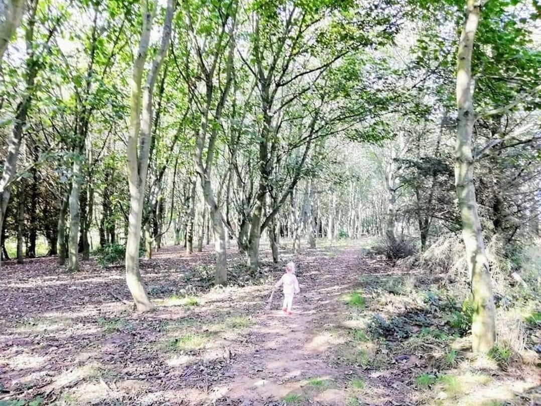 Sand Le Mere Holiday Village - Holiday Accommodation 11502