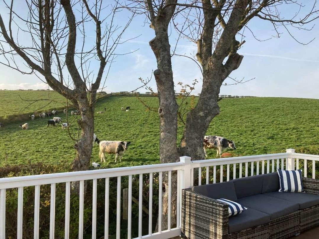 Durdle Door Holiday Park - Holiday Accommodation 11663