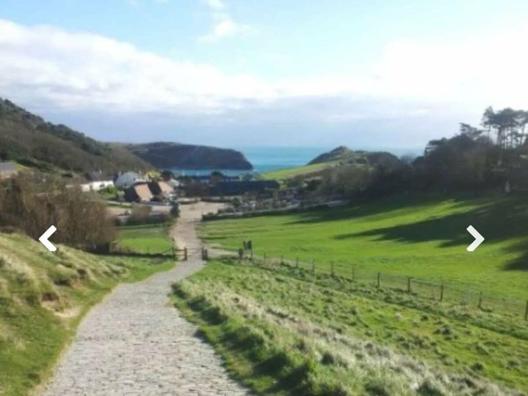 Durdle Door Holiday Park - Holiday Accommodation 11663
