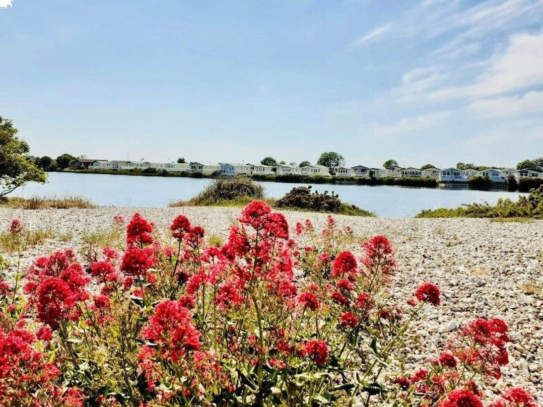 Church Farm Holiday Village - Holiday Accommodation 11680