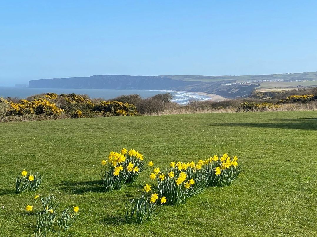 Primrose Valley Holiday Park - Holiday Accommodation 11715