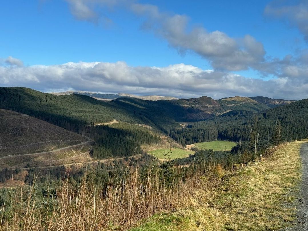 Brynowen Holiday Park - Holiday Accommodation 11787