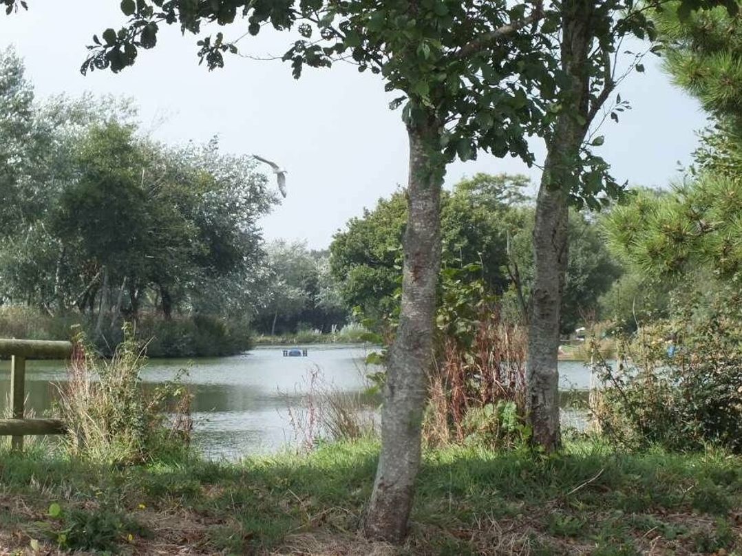 White Acres Holiday Park - Holiday Accommodation 119