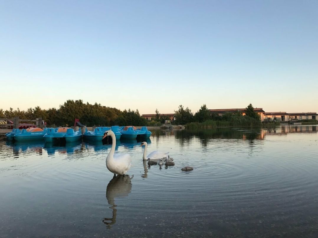 Lakeland Leisure Park - Holiday Accommodation 12283