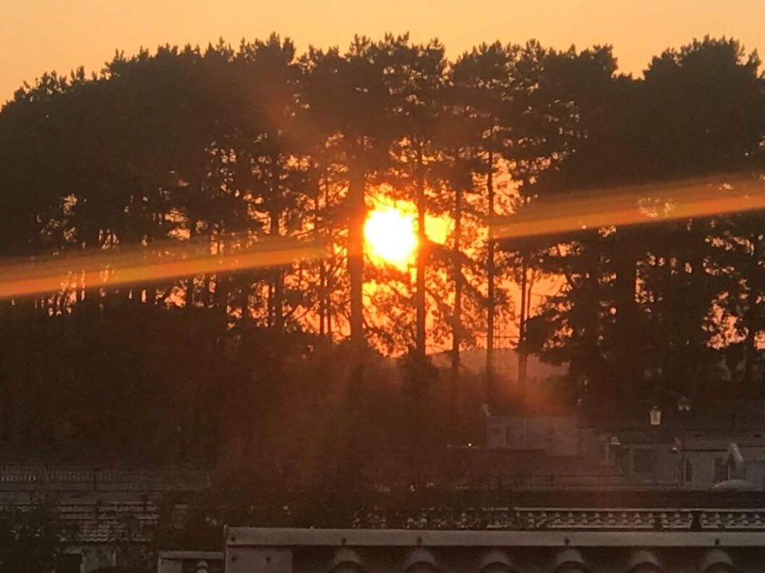 Rockley Park - Holiday Accommodation 12503