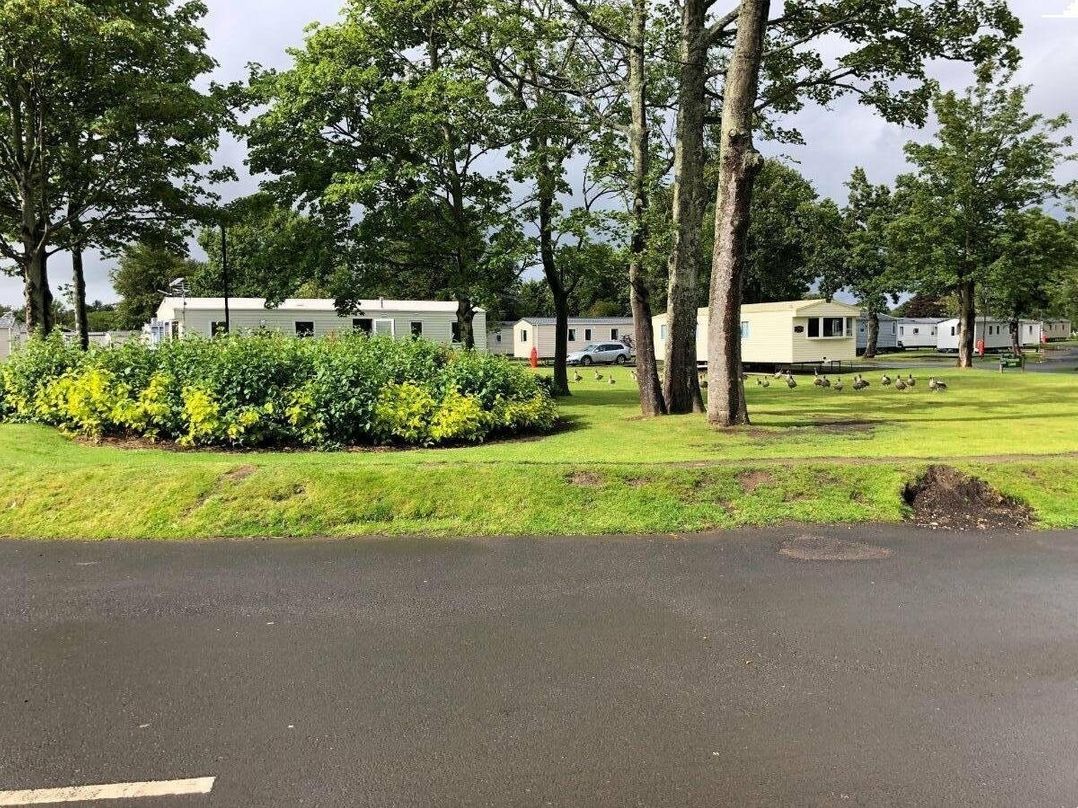 Haggerston Castle - Holiday Accommodation 12644