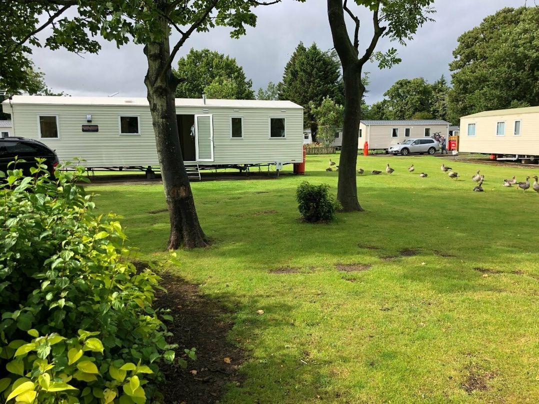 Haggerston Castle - Holiday Accommodation 12644