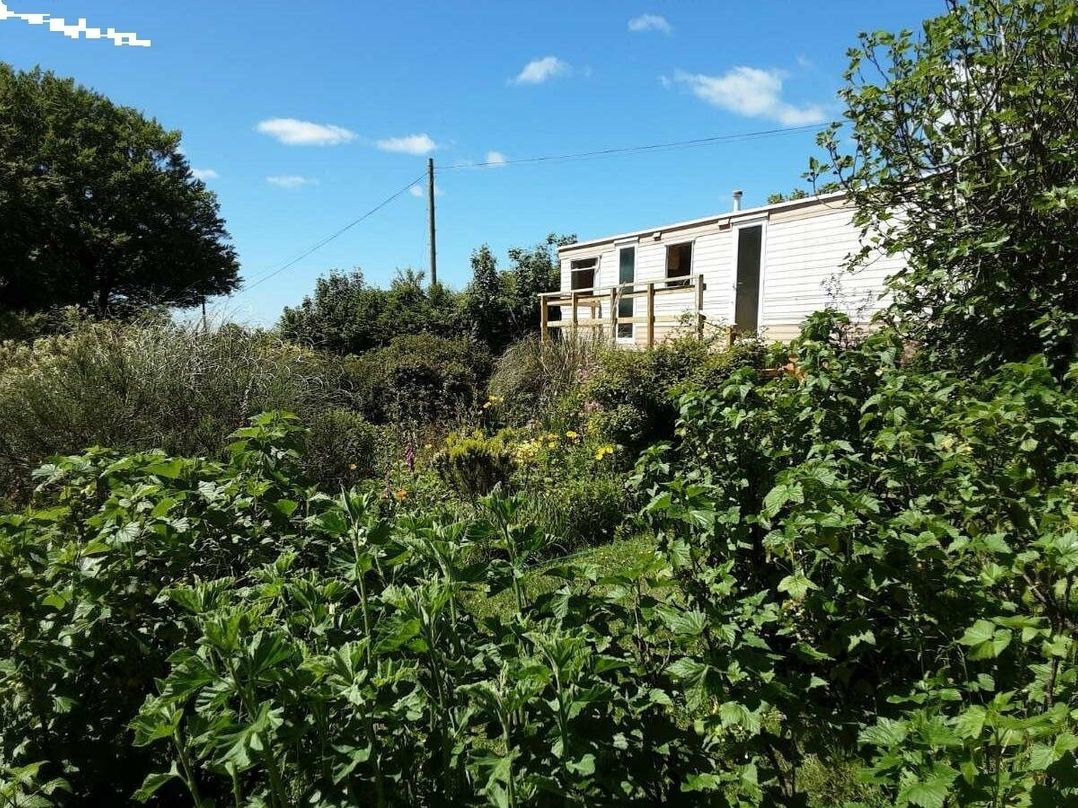 Gwarallt Bungalow - Holiday Accommodation 12891