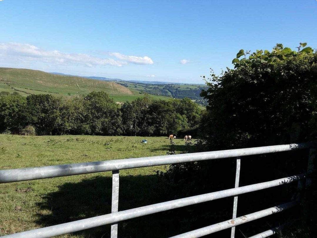 Gwarallt Bungalow - Holiday Accommodation 12891