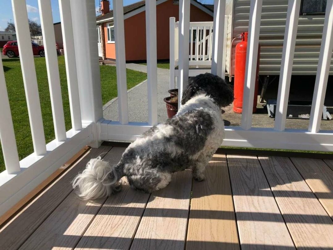 The Bungalow Camp Caravan Park - Holiday Accommodation 12935