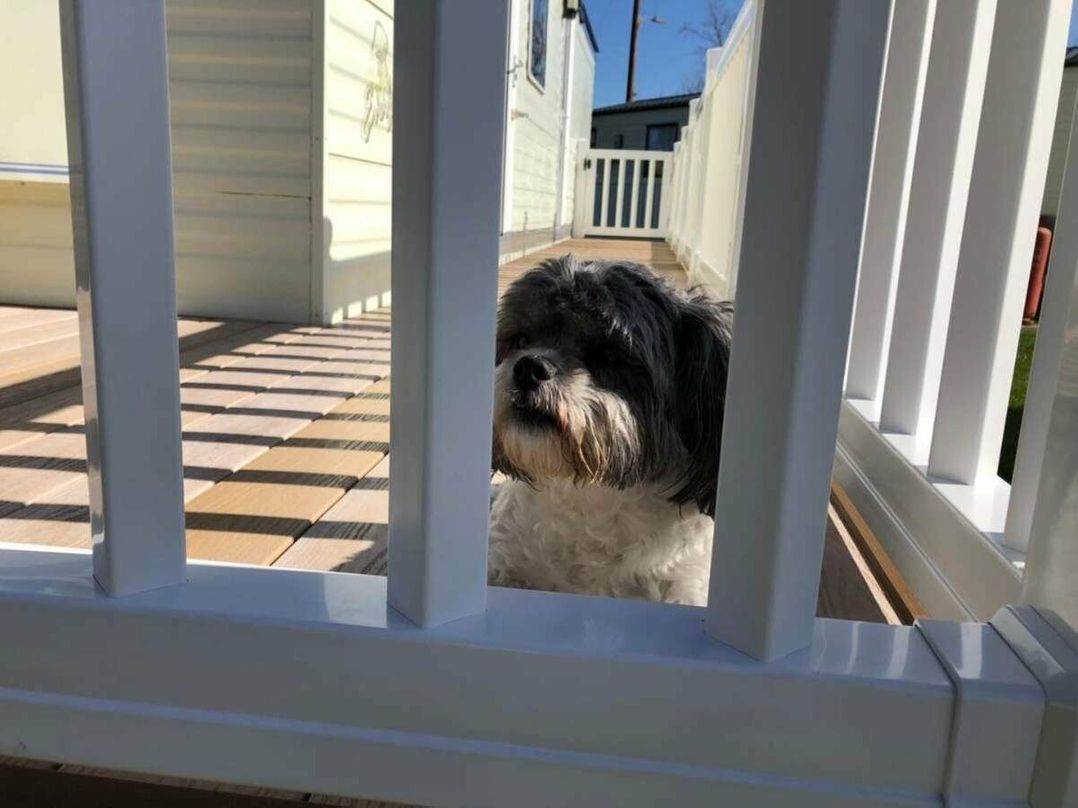 The Bungalow Camp Caravan Park - Holiday Accommodation 12935