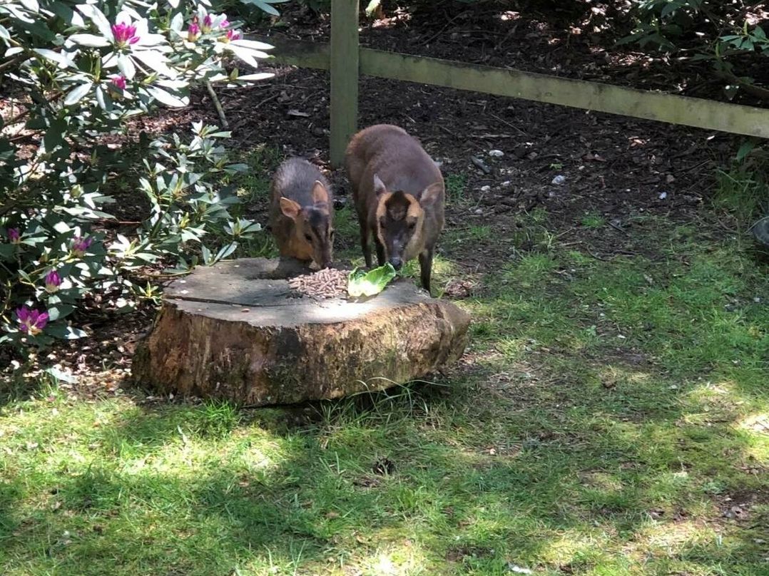 Kelling Heath Holiday Park - Holiday Accommodation 12993