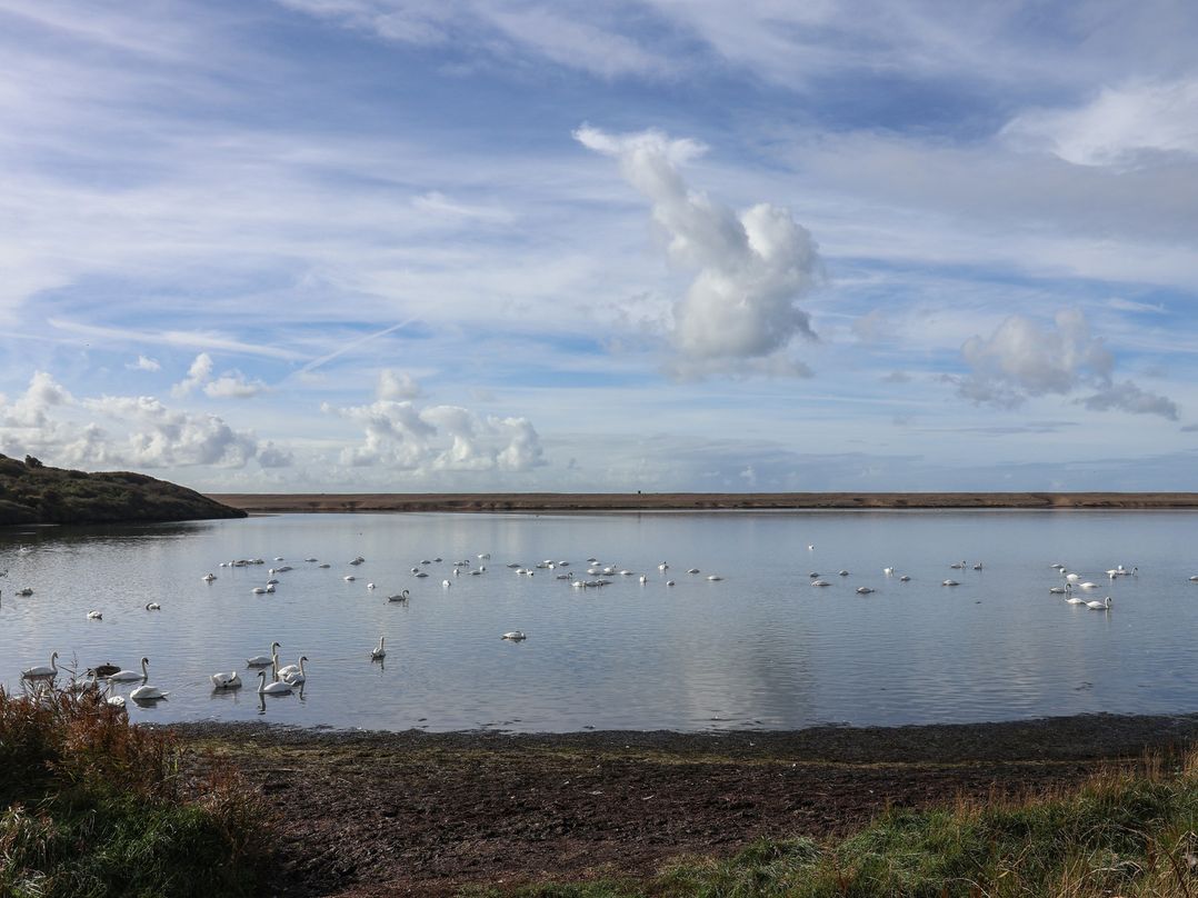 39 Greenlands, Littlesea Holiday Park