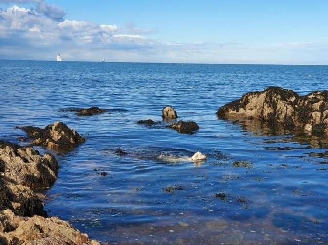 Waterside, Paignton - Holiday Accommodation 13148