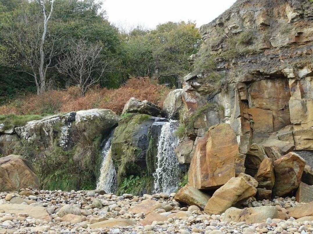 Cayton Bay Caravan Park - Holiday Accommodation 13460