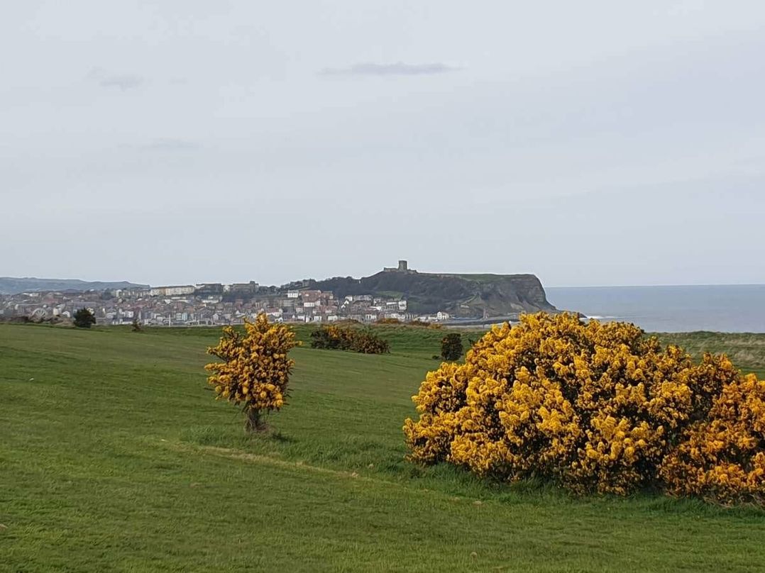 Cayton Bay Caravan Park - Holiday Accommodation 13460