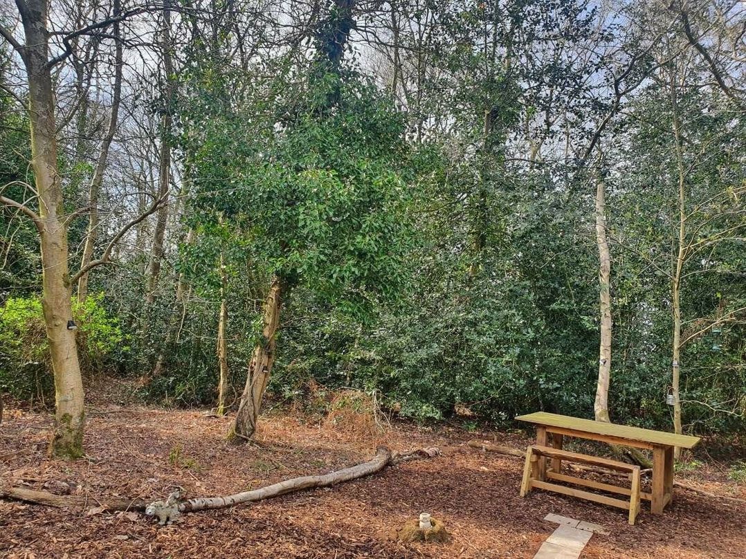 Wild Duck Holiday Park - Holiday Accommodation 13909