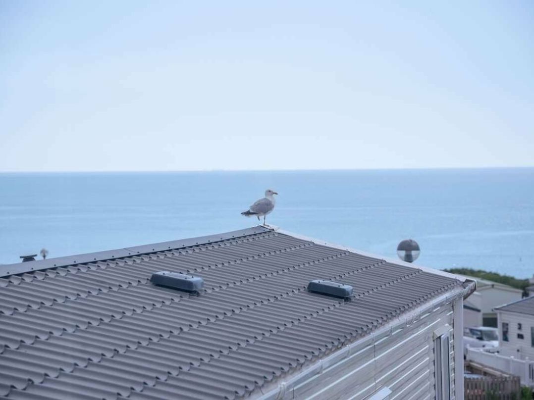 Devon Cliffs Holiday Park - Holiday Accommodation 143