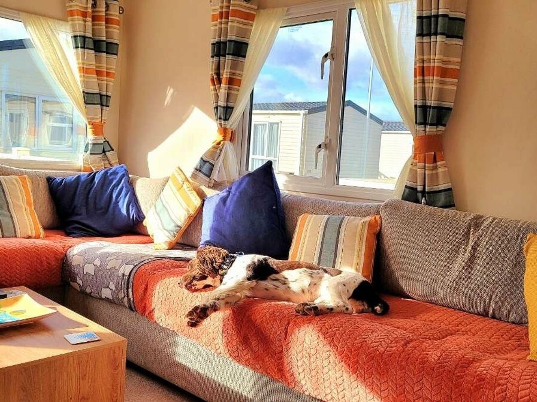 Hoburne Blue Anchor - Holiday Accommodation 14435