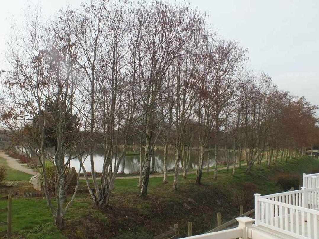 White Acres Holiday Park - Holiday Accommodation 14474