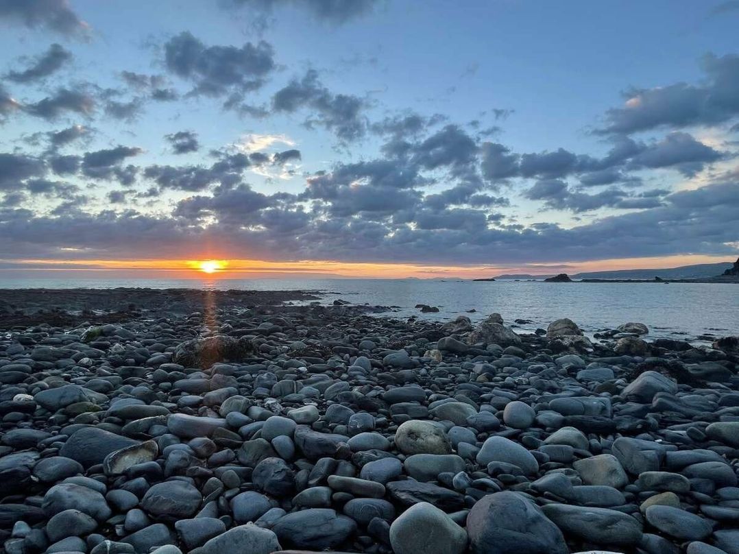 Brynrodyn Caravan Park - Holiday Accommodation 14568