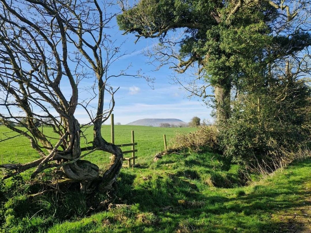 Todber Valley Holiday Park - Holiday Accommodation 14736