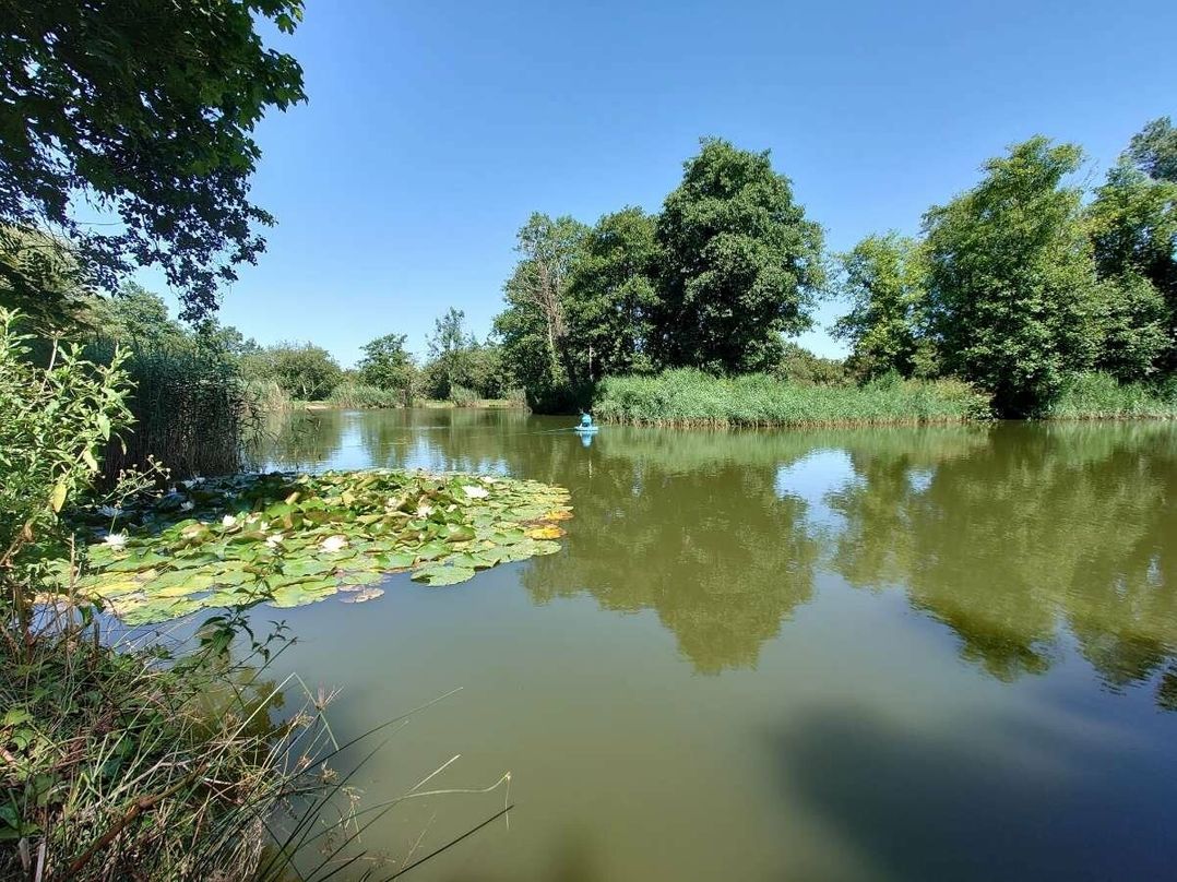 White Acres Holiday Park - Holiday Accommodation 14745