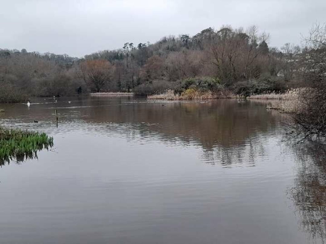 Hoburne Devon Bay - Holiday Accommodation 14911