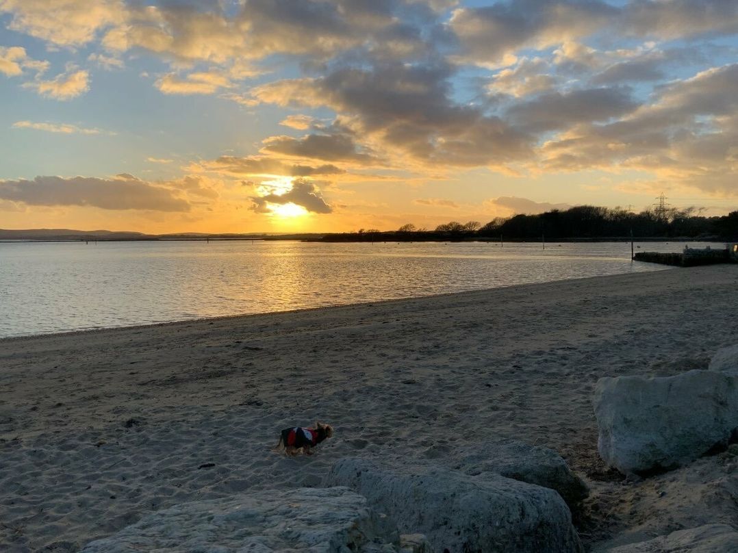 Rockley Park - Holiday Accommodation 14953