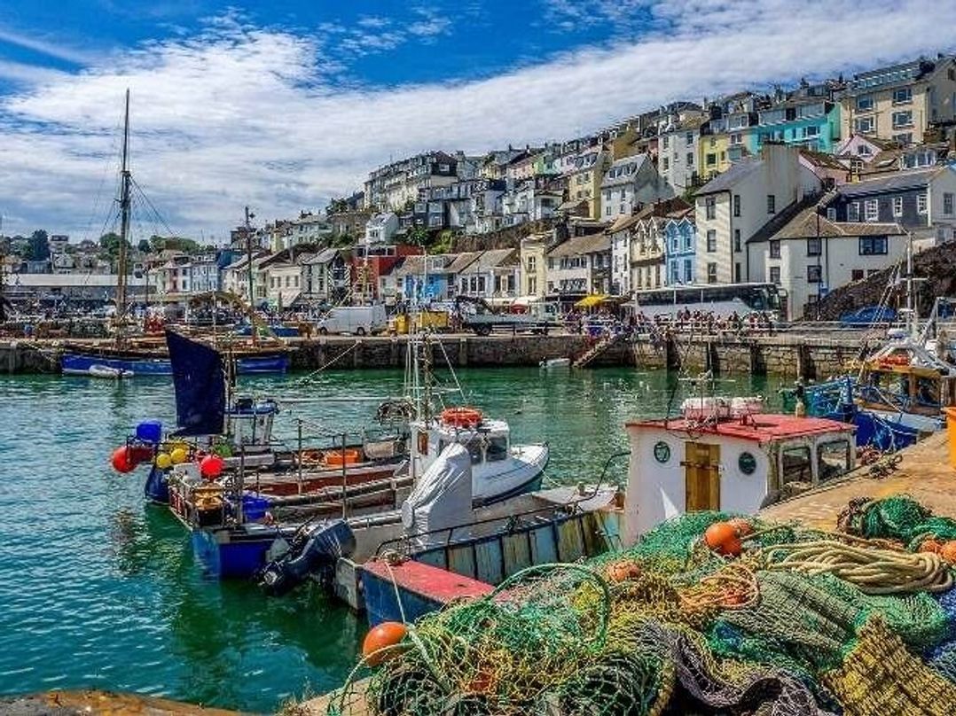 Landscove Holiday Park - Holiday Accommodation 15120