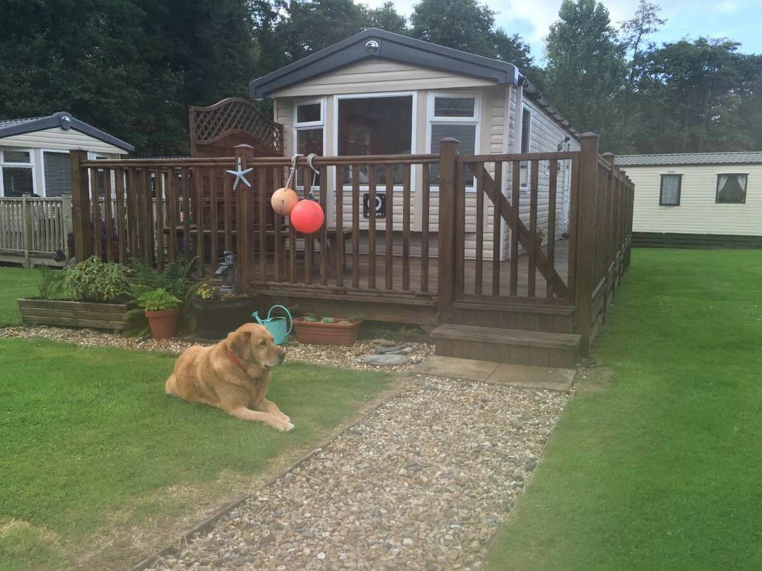 Hele Valley Holiday Park - Holiday Accommodation 15137