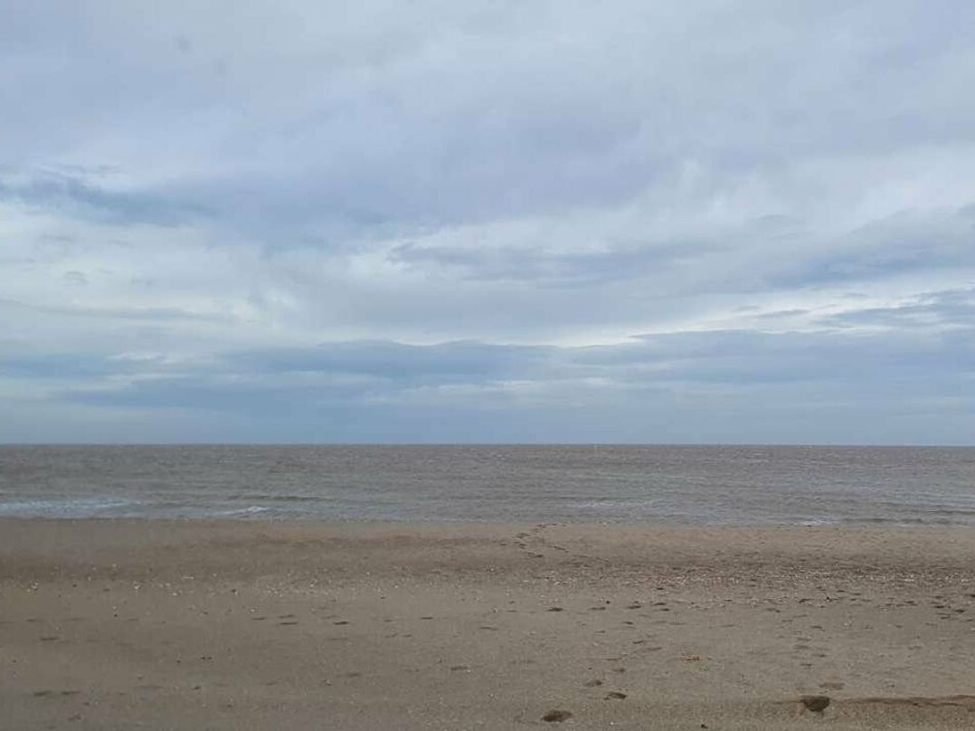 Golden Palm Resort - Holiday Accommodation 15142